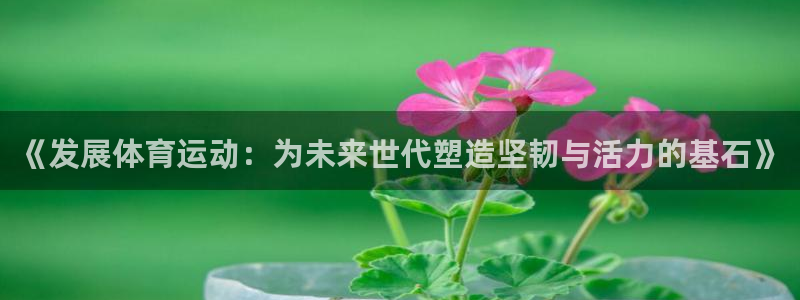 7m体育篮球比分：《发展体育运动：为未来世代塑造坚韧与活力的基石》