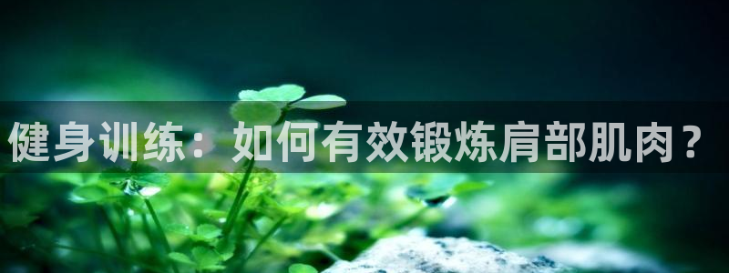 7m体育网站：健身训练：如何有效锻炼肩部肌肉？