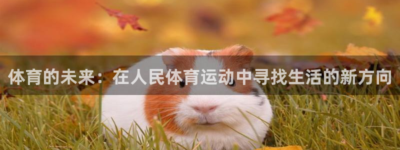 7m体育篮球比分：体育的未来：在人民体育运动中寻找生活的新方向