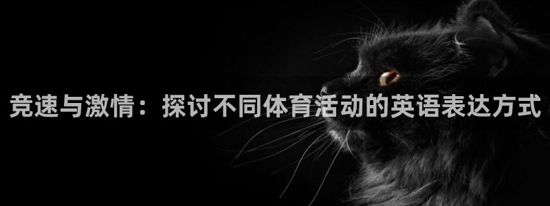 7m体育篮球：竞速与激情：探讨不同体育活动的英语表达方式
