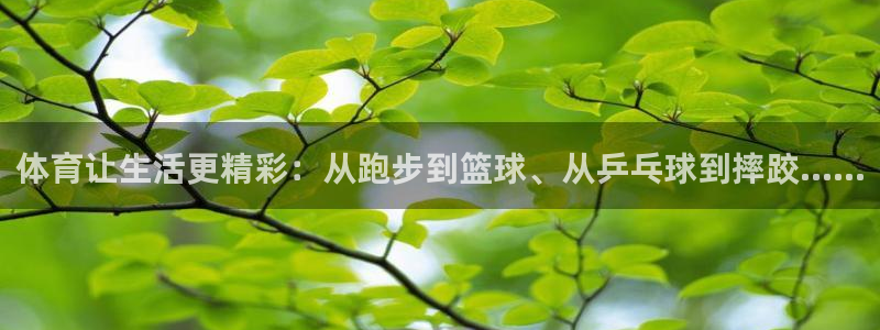 7m体育比分：体育让生活更精彩：从跑步到篮球、从乒乓球到摔跤……