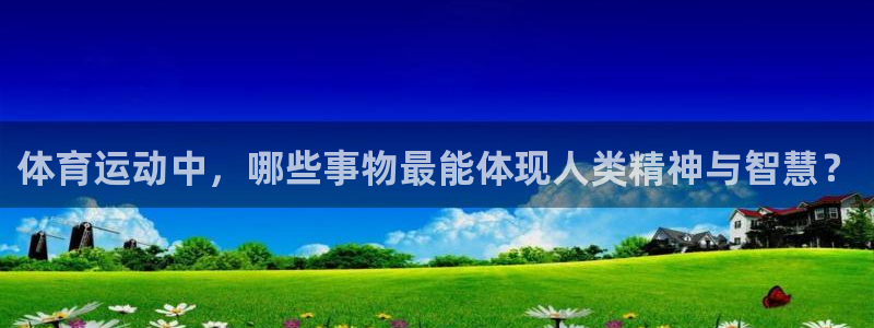 7m体育：体育运动中，哪些事物最能体现人类精神与智慧？