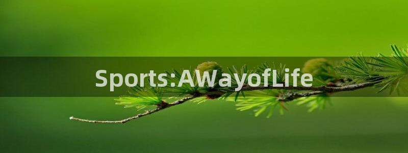 7m体育足球比分：Sports:AWayofLife